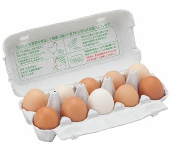 卵10個パック
