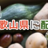 和歌山でおすすめの食材宅配TOP3！【安いサービスはどこ？】