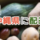 沖縄県で利用できる便利な食材宅配ランキング【おすすめTOP3】