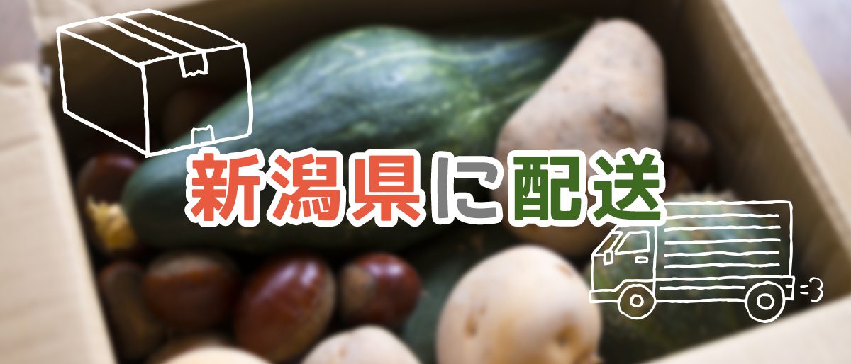 【新潟県】おすすめの食材宅配サービス比較ランキング